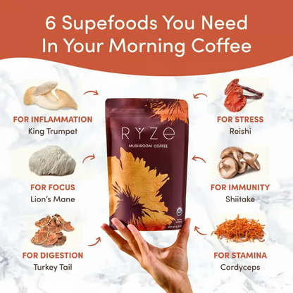Brew Vault Mushroom Coffee